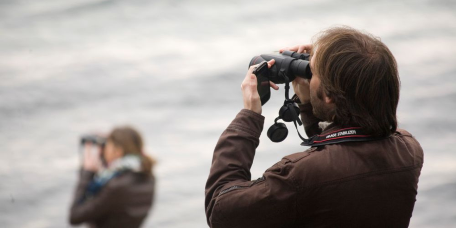 Comptages Etang de Berre - François GRIMAL